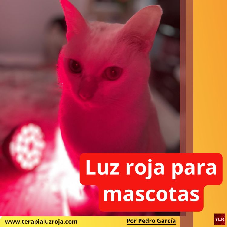 Luz roja para gatos y perros. Reduce inflamación